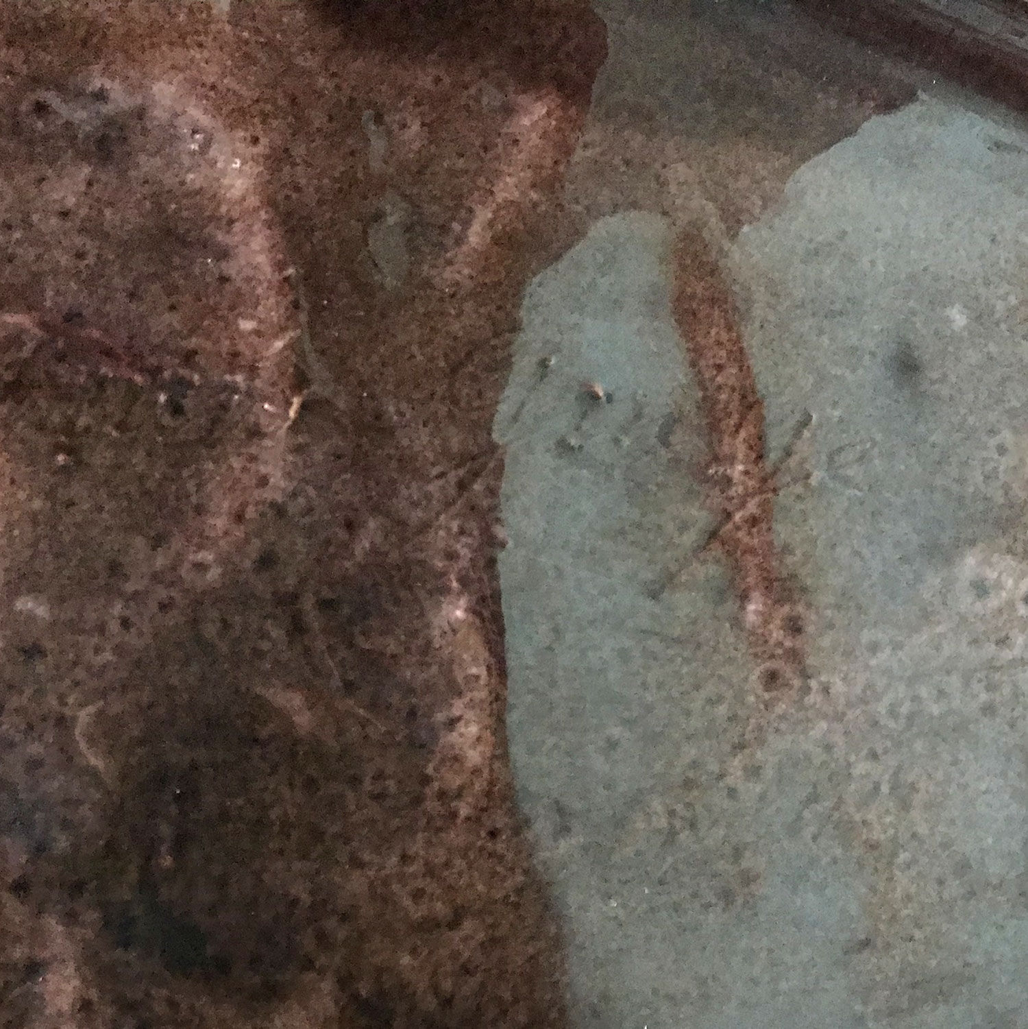 Service at bouillabaisse Marius Giuge