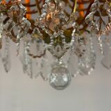 Bronze cage chandelier trimmed with grapevines, early twentieth century