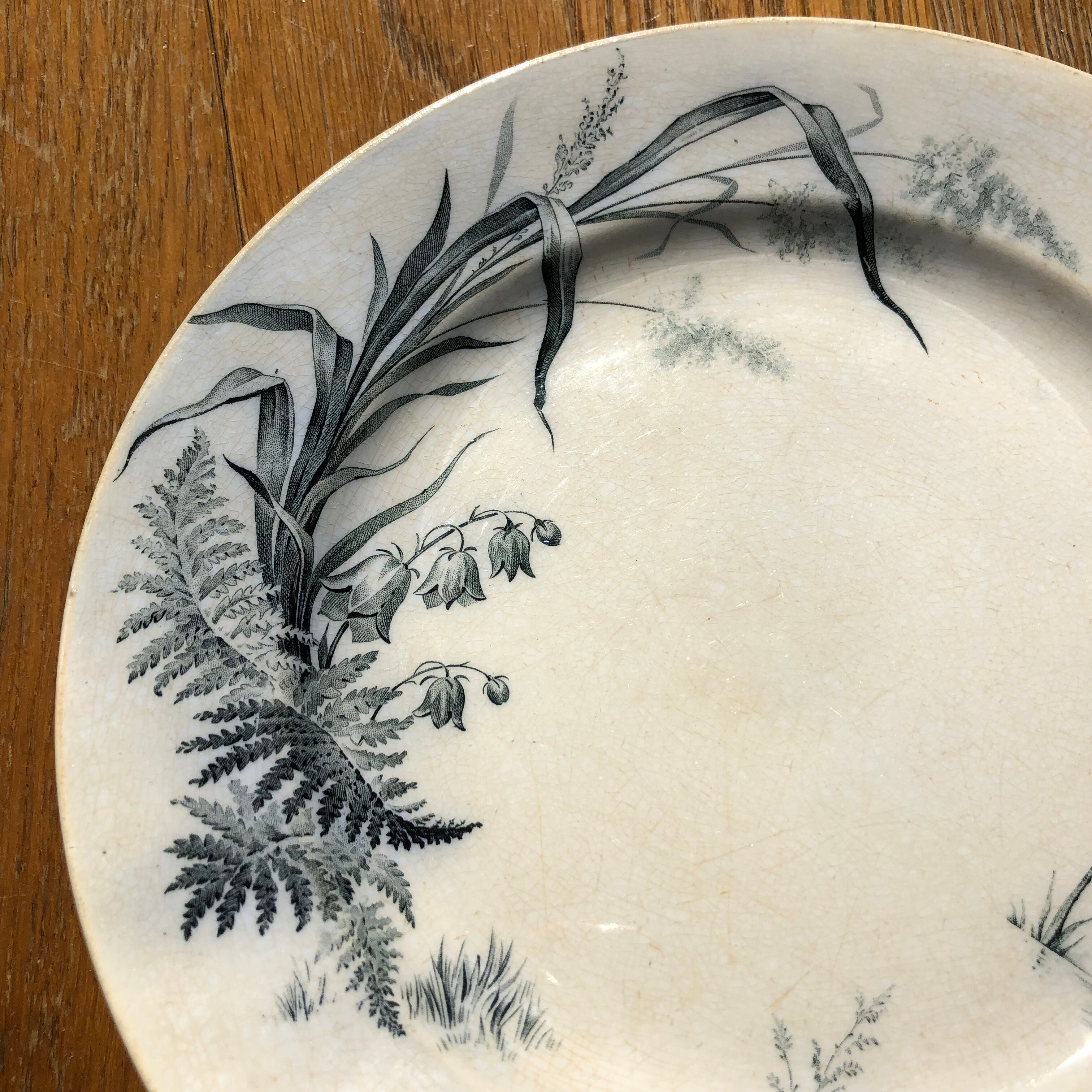 Plate Villeroy and Boch model Alaska