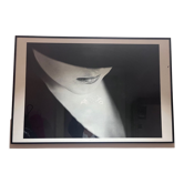 Photographie, Michiel Ibelings " Monique "