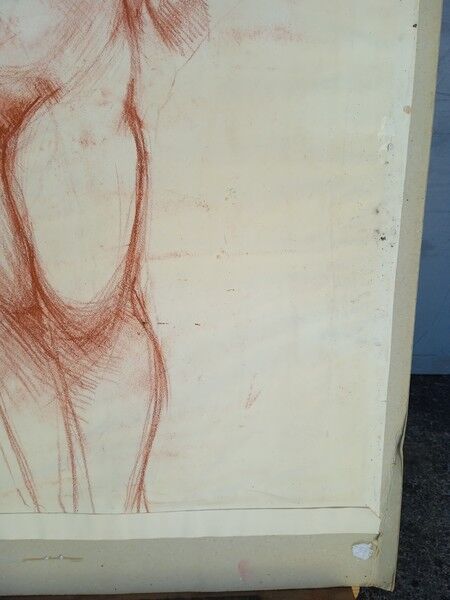 Drawing sanguine study nude female 67/50cm 1950