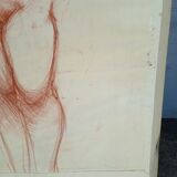Drawing sanguine study nude female 67/50cm 1950