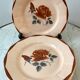 Lot de 6 assiettes plates Digoin Sarreguemines années 30-40