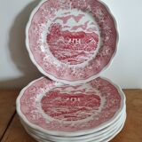 6 Italian plates