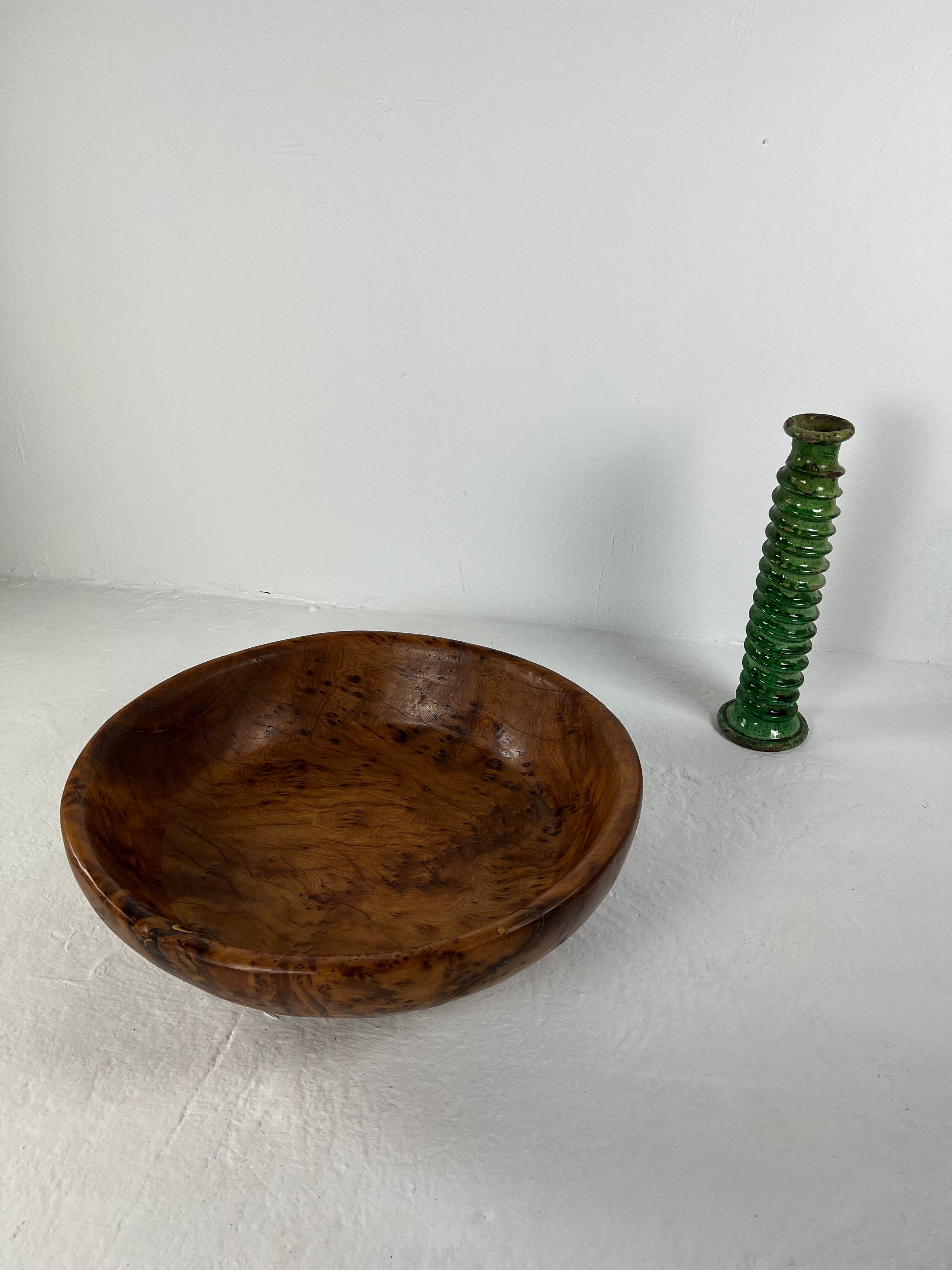 Xxl dish in tuya root