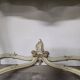 Console + grand miroir de style Louis XV en bois laqué et doré