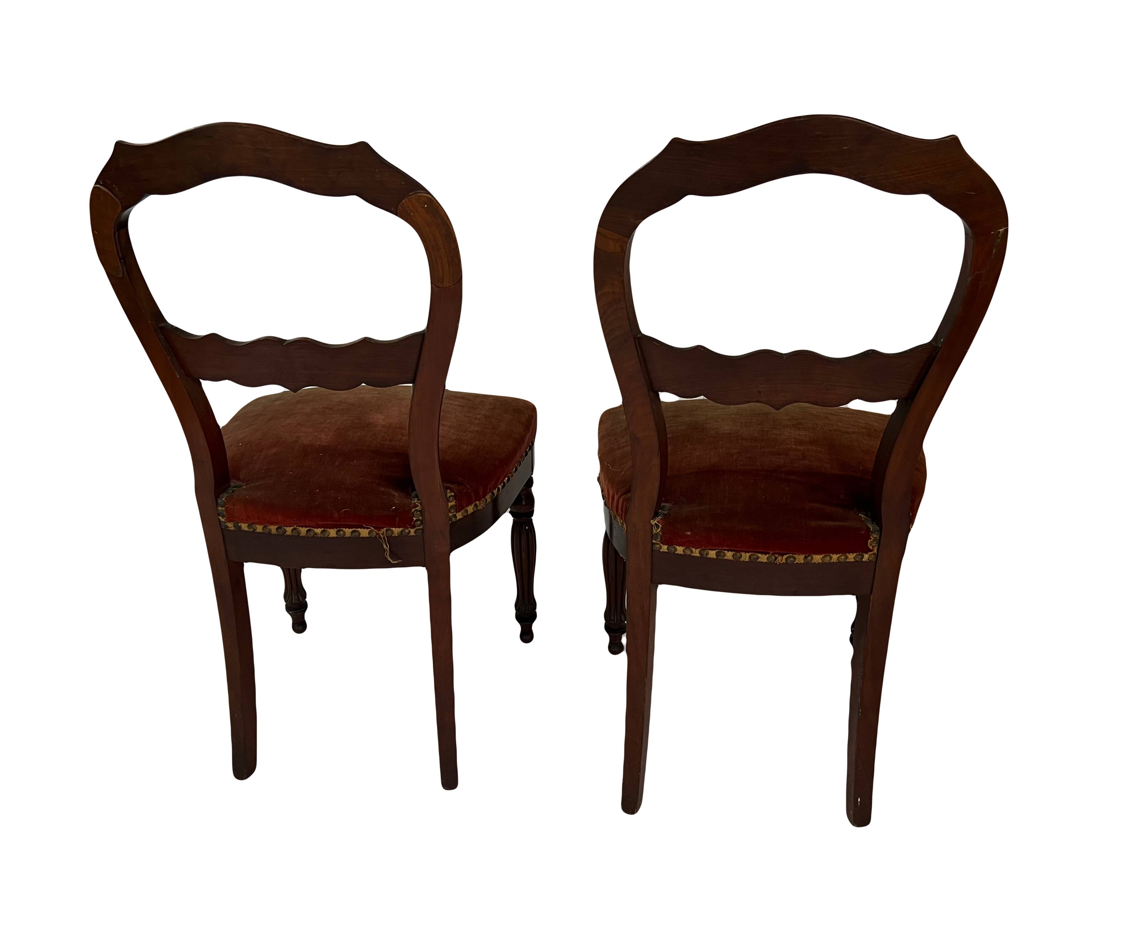 Pair of Louis Philippe period chairs in solid mahogany