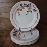 6 Sarreguemines flat plates, Bitche model