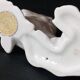 Figurine chien en porcelaine Metzler&Ortloff