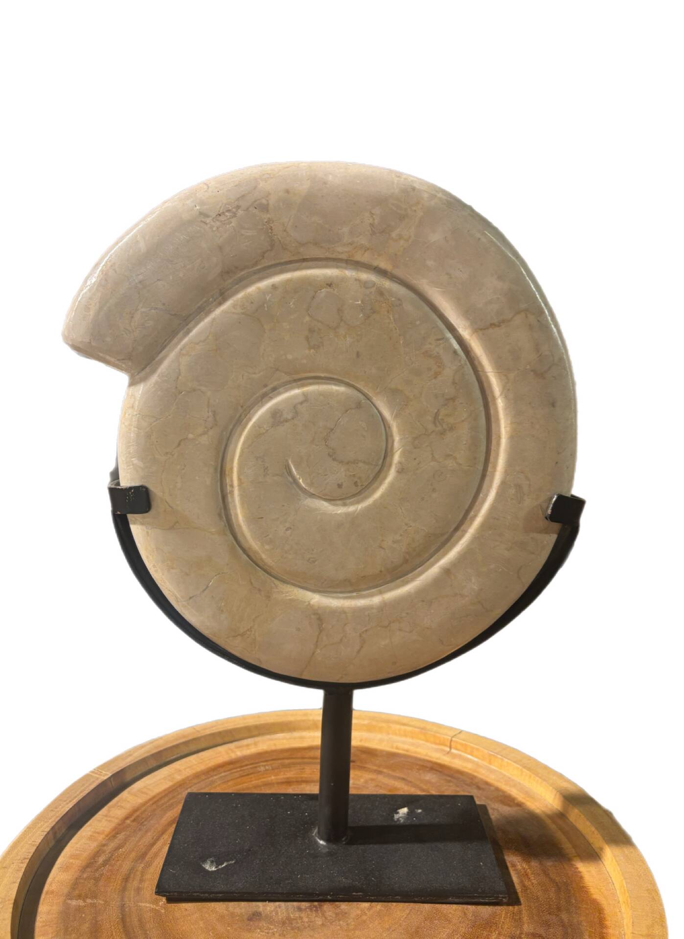 Shell in stone carved on a base