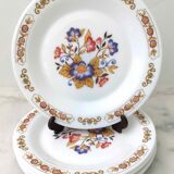 6 assiettes à dessert fleuries 1970