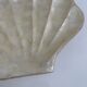 Pocket void shell-shaped shell mother-of-pearl of genuine Capiz