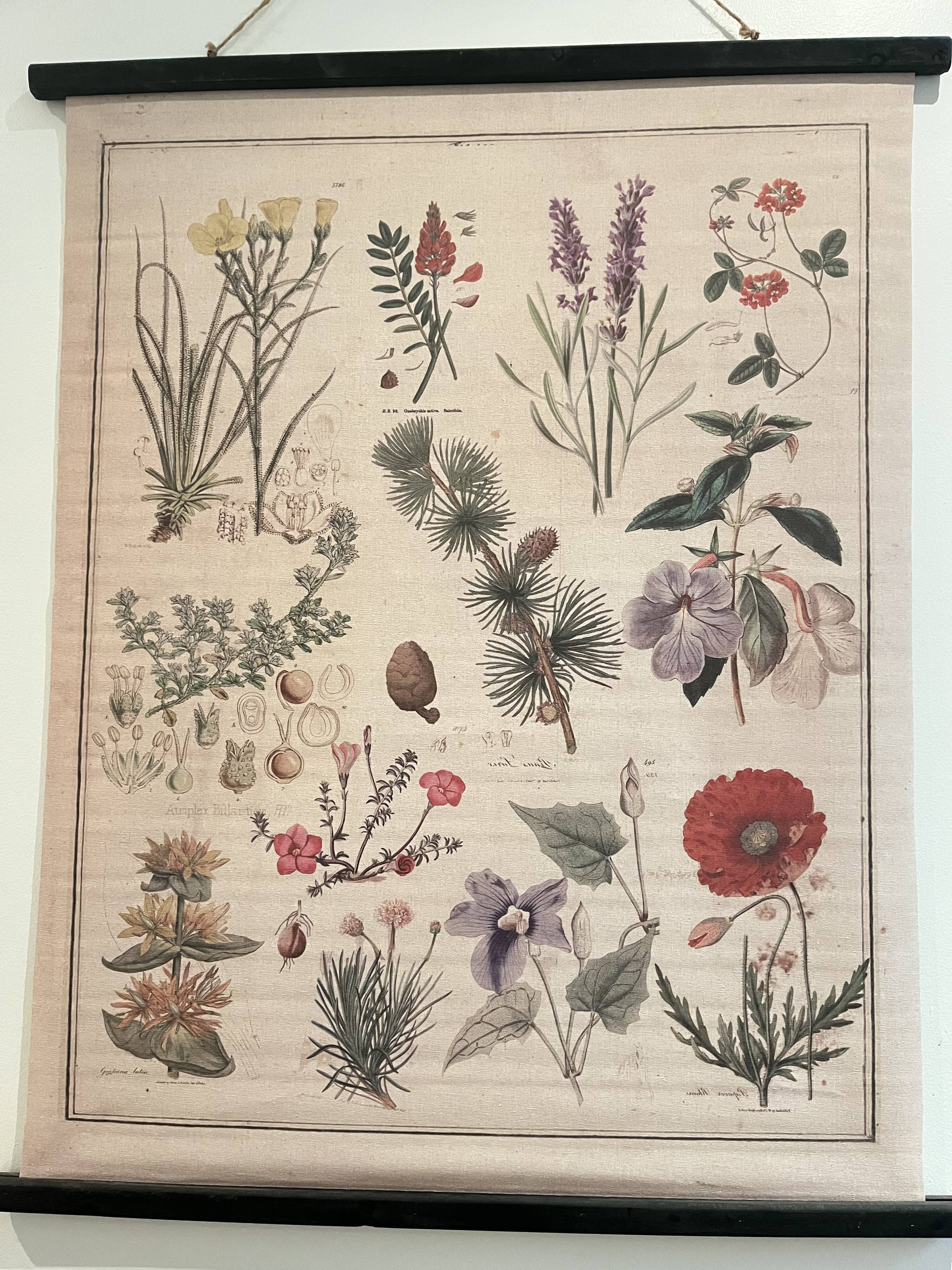 Tapisserie, toile botanique fleurs