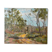 Painting, oil on canvas, landscape of Provence, Drôme, 40 years