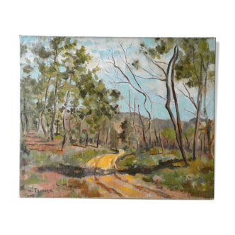 Painting, oil on canvas, landscape of Provence, Drôme, 40 years