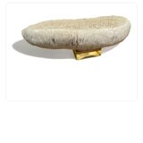 Coral “shark cushion”