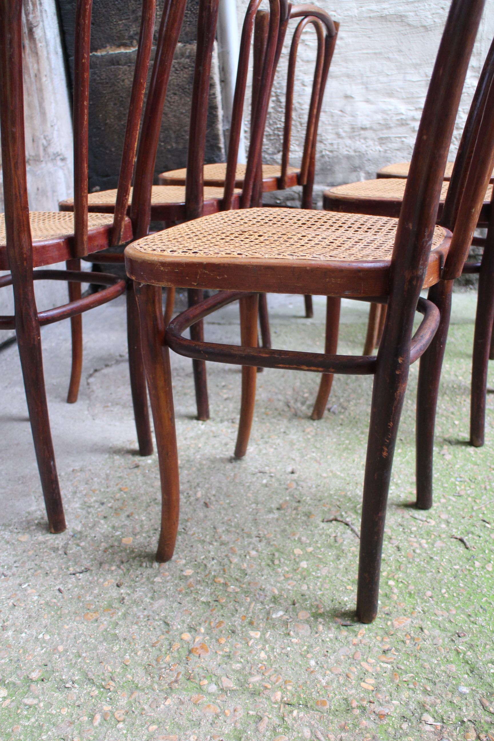 Series of 6 kohn bistro chairs curved wood and cannage