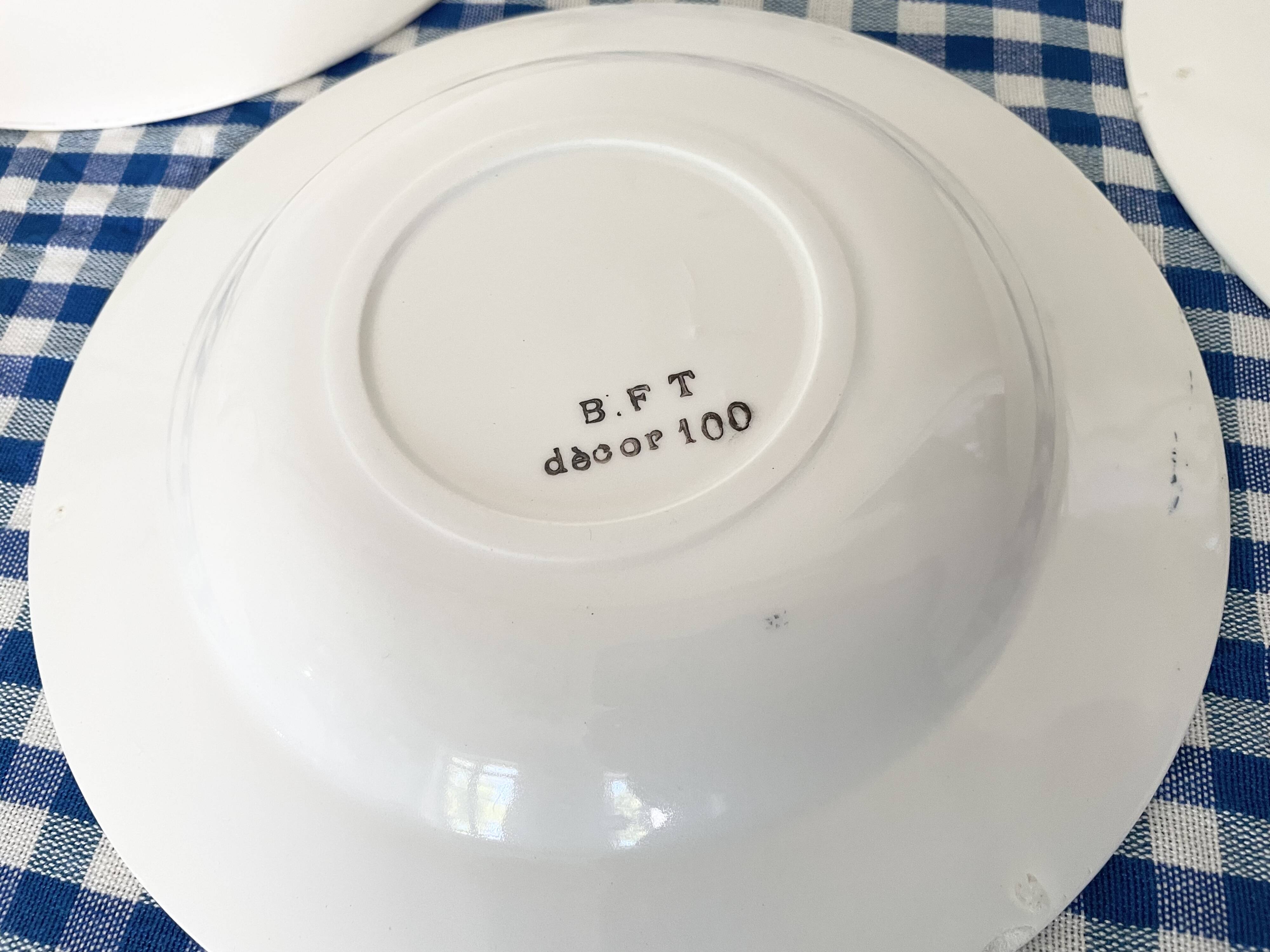 Saint-Jean Varage ironstone soup plates