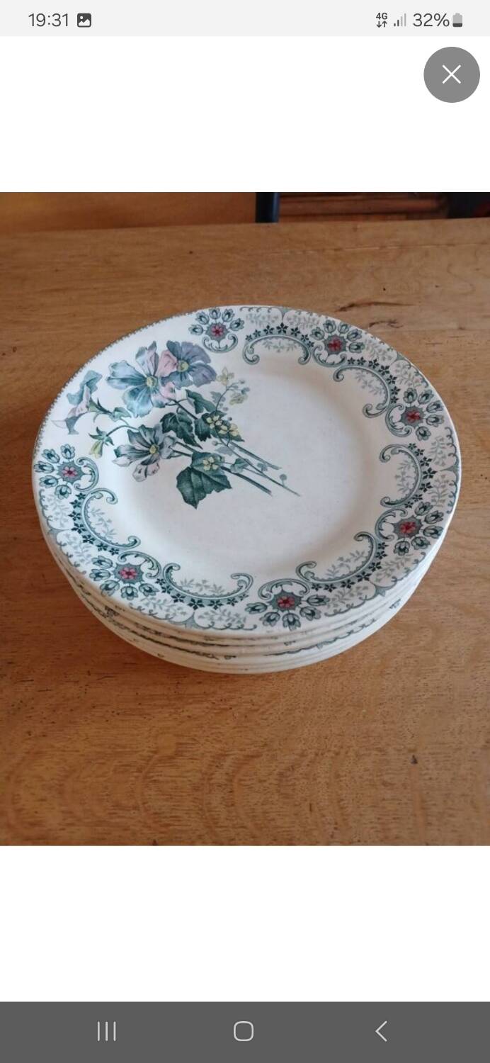 7 old flat plates Terre de fer