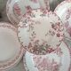 Mismatched flat plates pink iron land lot X5 old French manufacture various