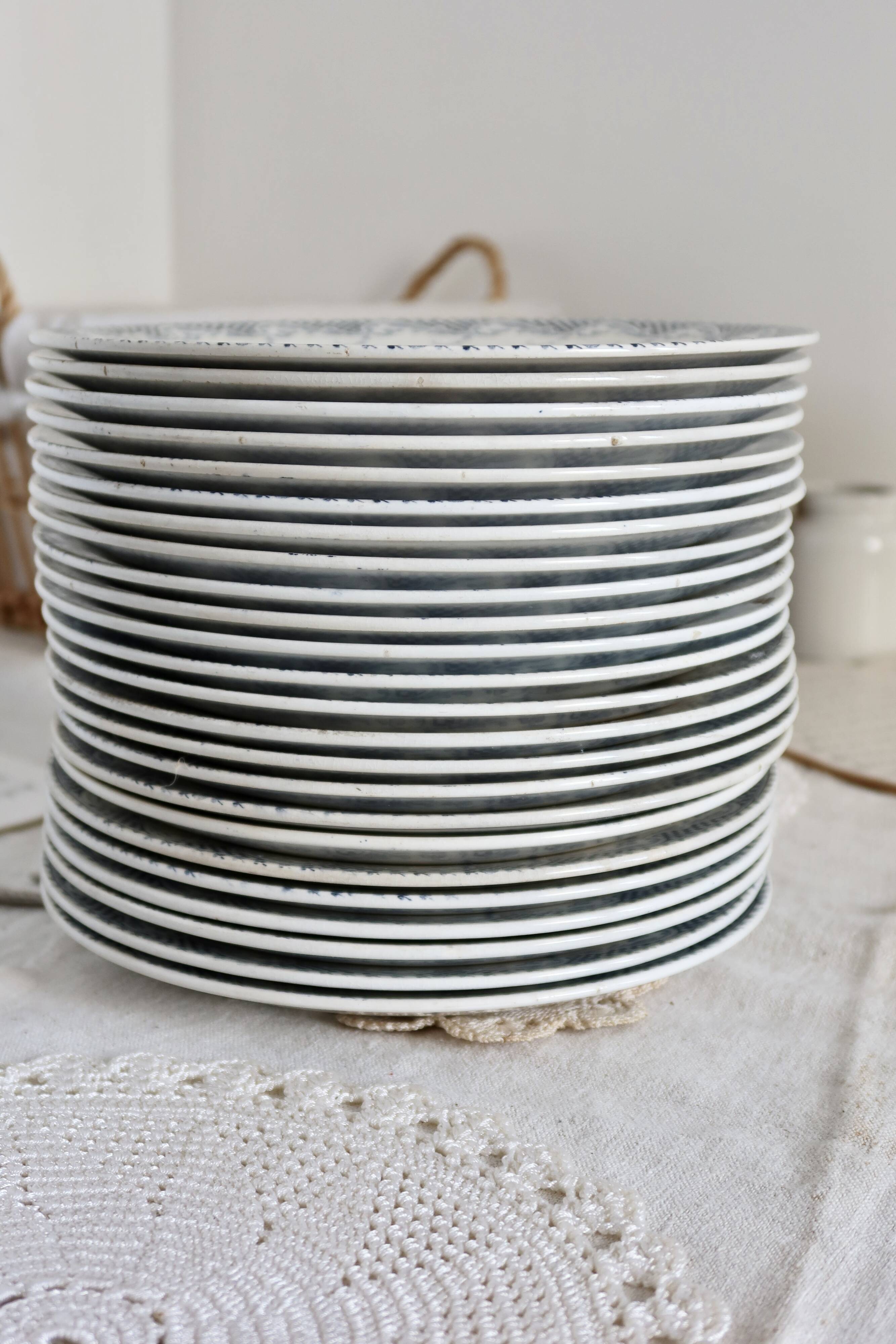 6 flat plates in ironstone Sarreguemines U&C model Luchon