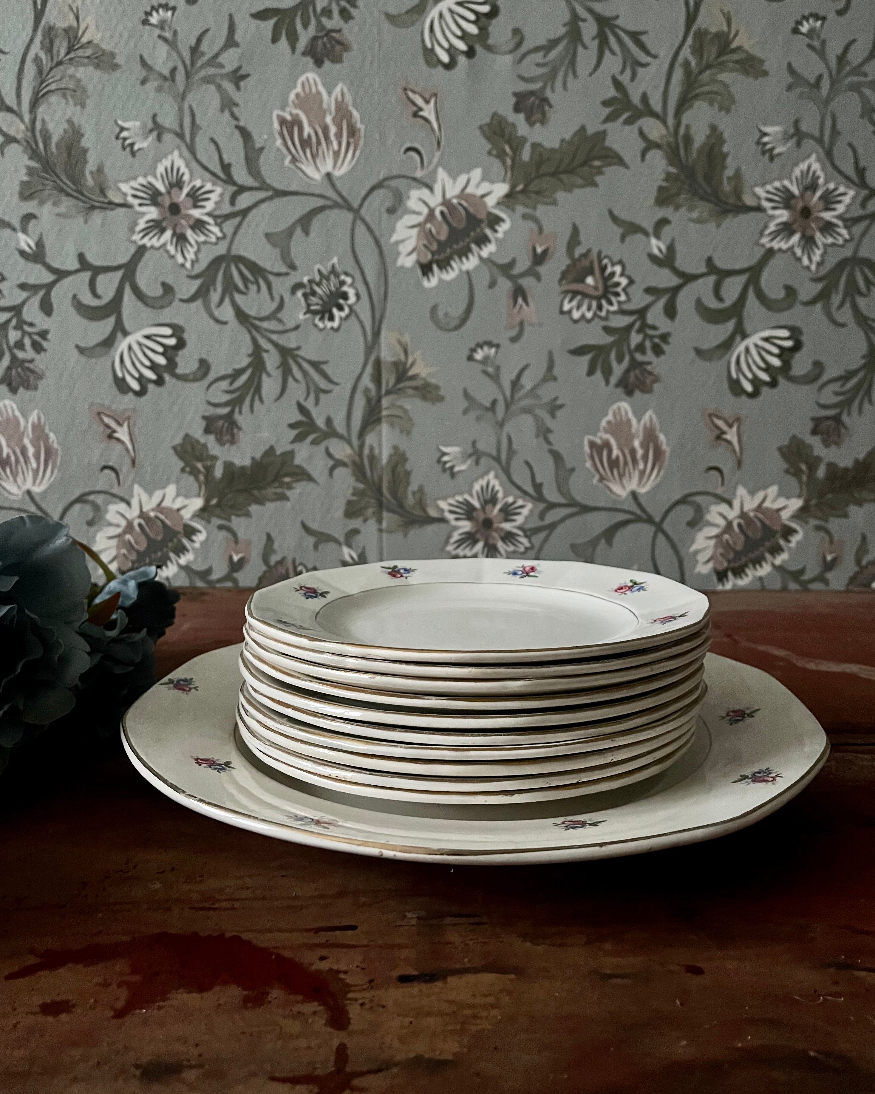 Plates and dish in genuine opaque Digoin Sarreguemines.
