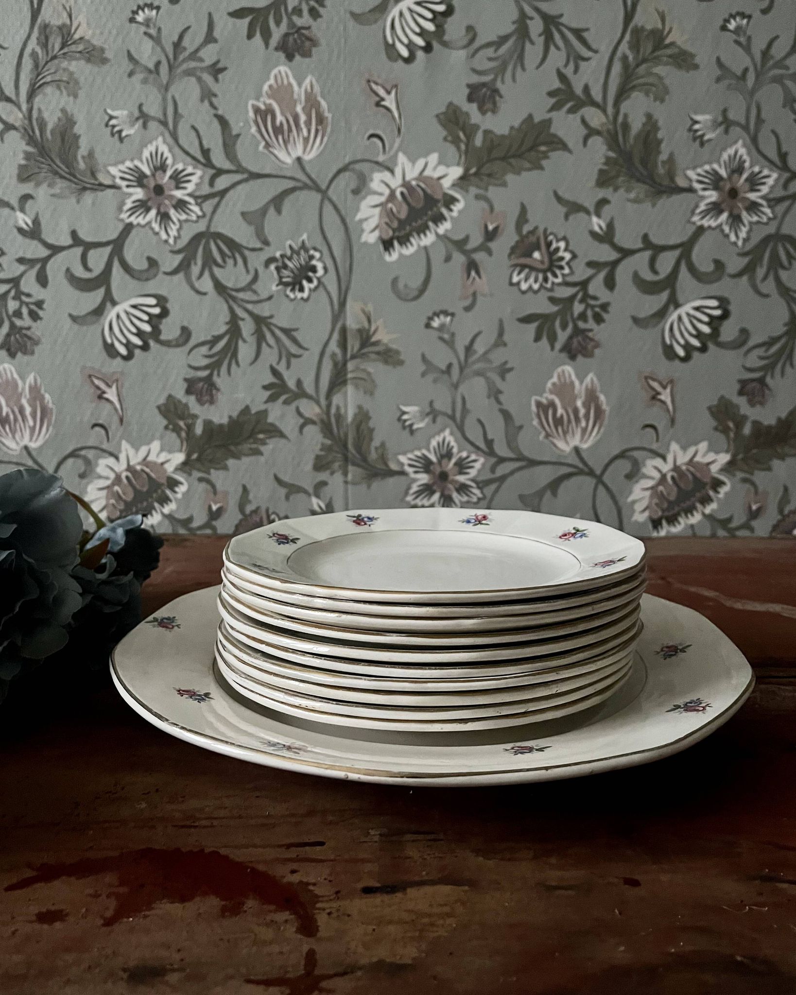 Assiettes et plat en véritable opaque Digoin Sarreguemines