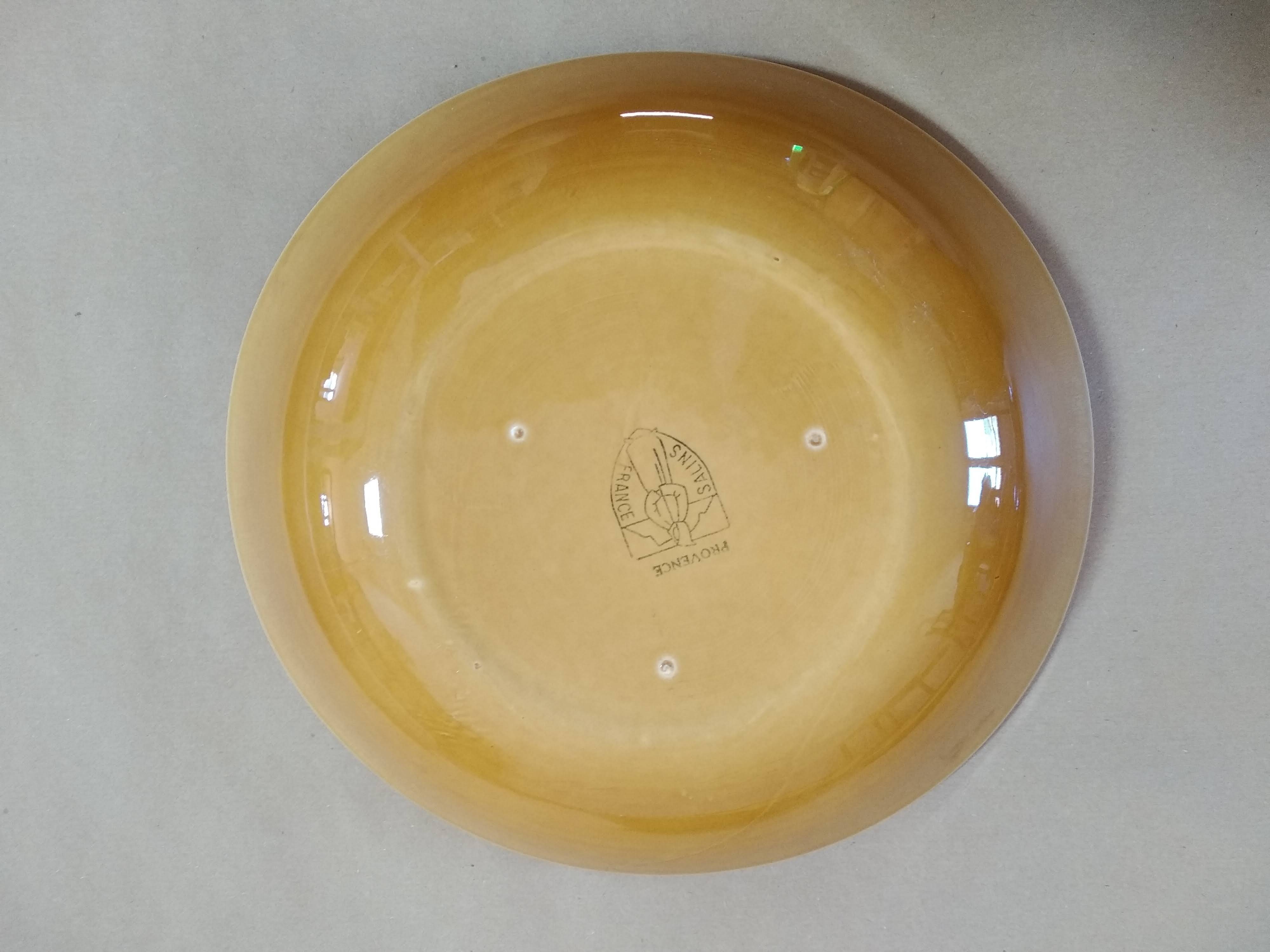 Salins Earthenware Dinner Service, Provence Model, 70'