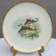 Set 12 plates porcelain fish edge laurel gold Bernardaud