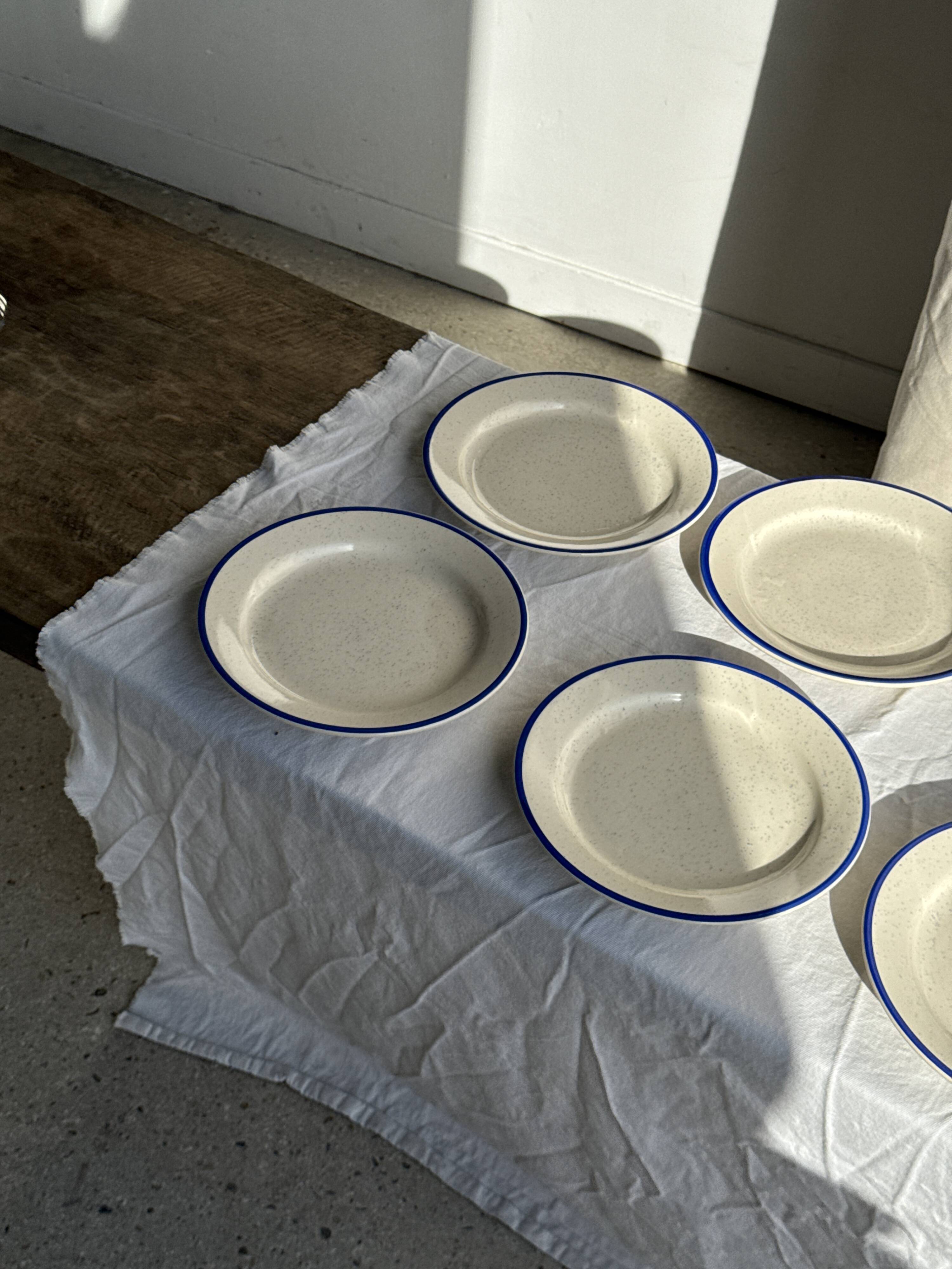 Set consisting of 6 beige flat plates with a blue rim + 3 deep plates.