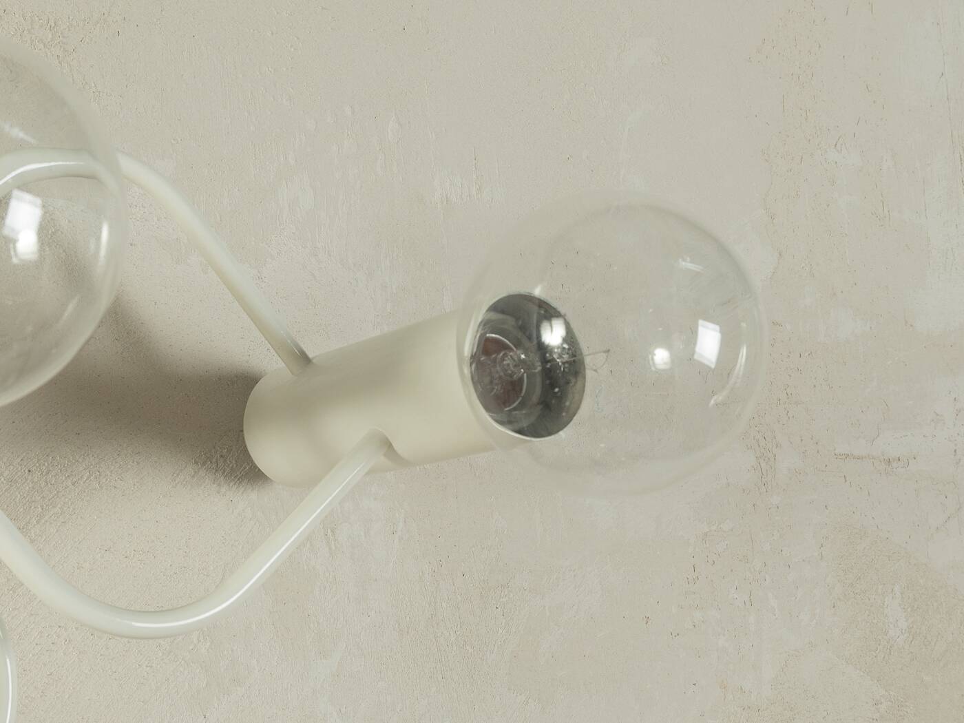 Leola | Gaetano Sciolari