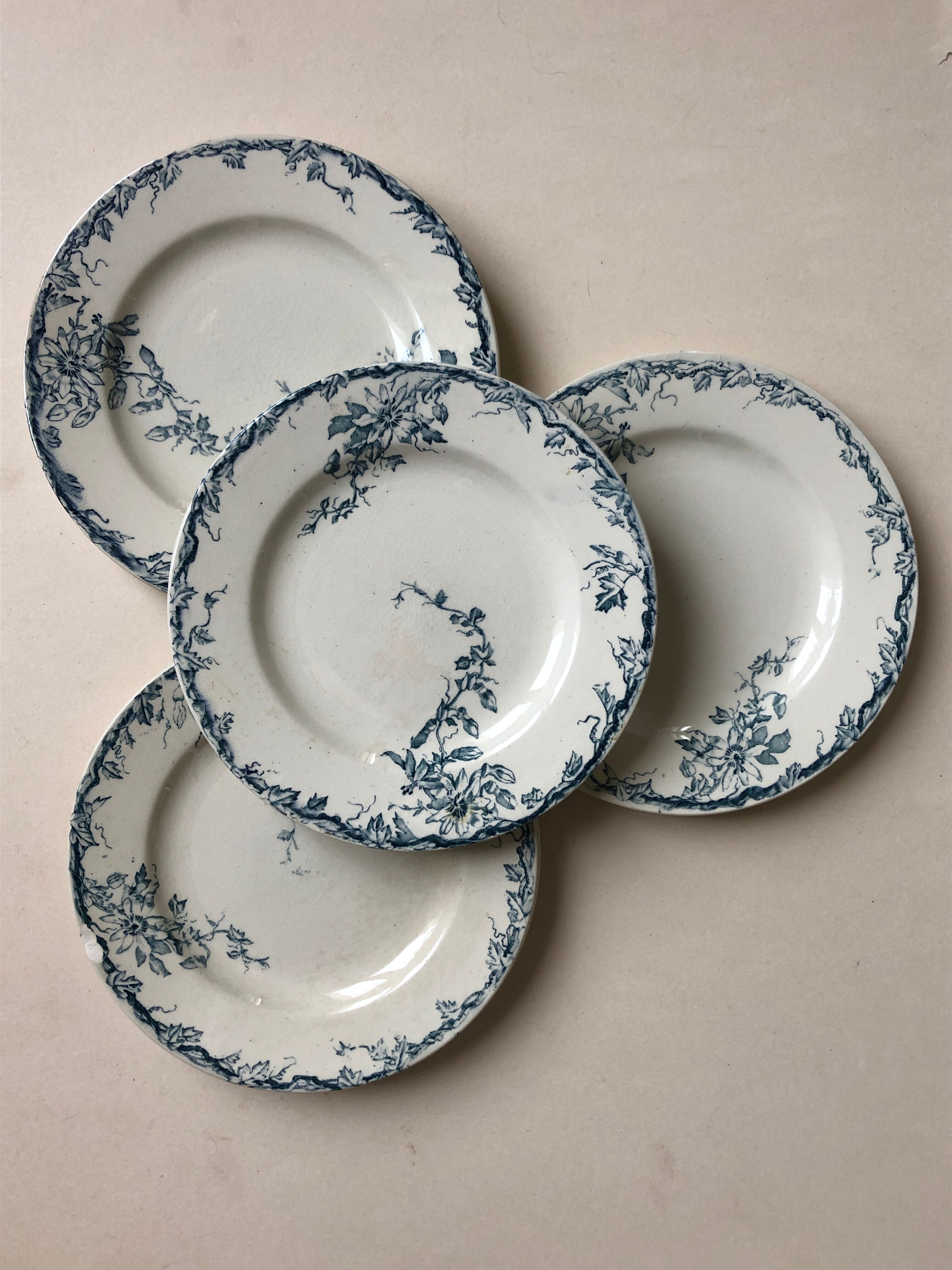 Set of 6 plates in faience Luneville model Passiflore