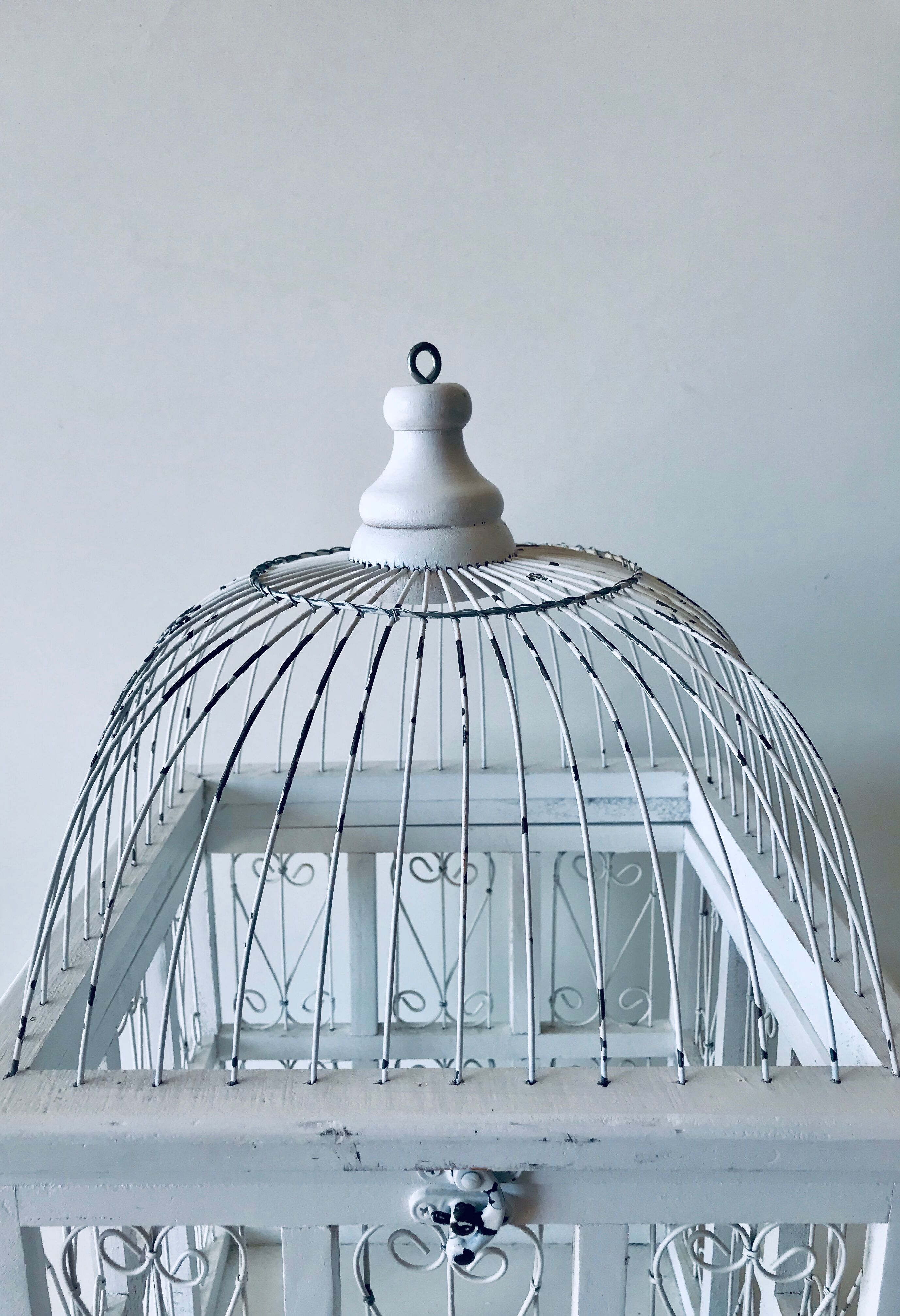Cage à oiseaux blanche