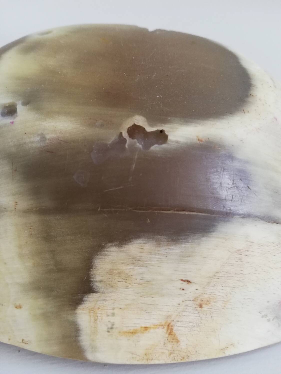 Natural horn bowl/empty-pocket