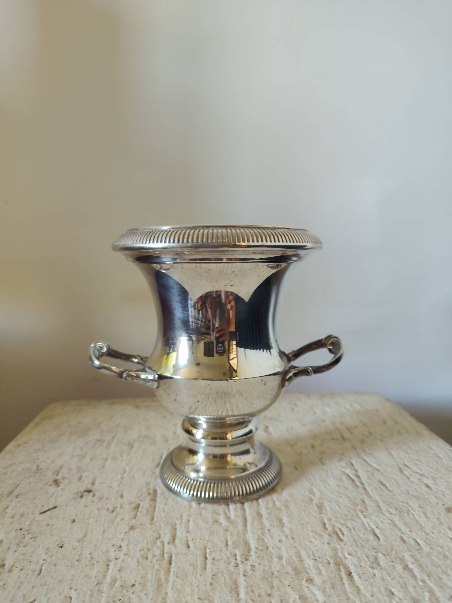 Jardinière centre de table vase Médicis argenté