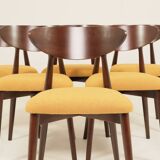 Scandinavian dining chairs set of 6 moutarde bouclé 
