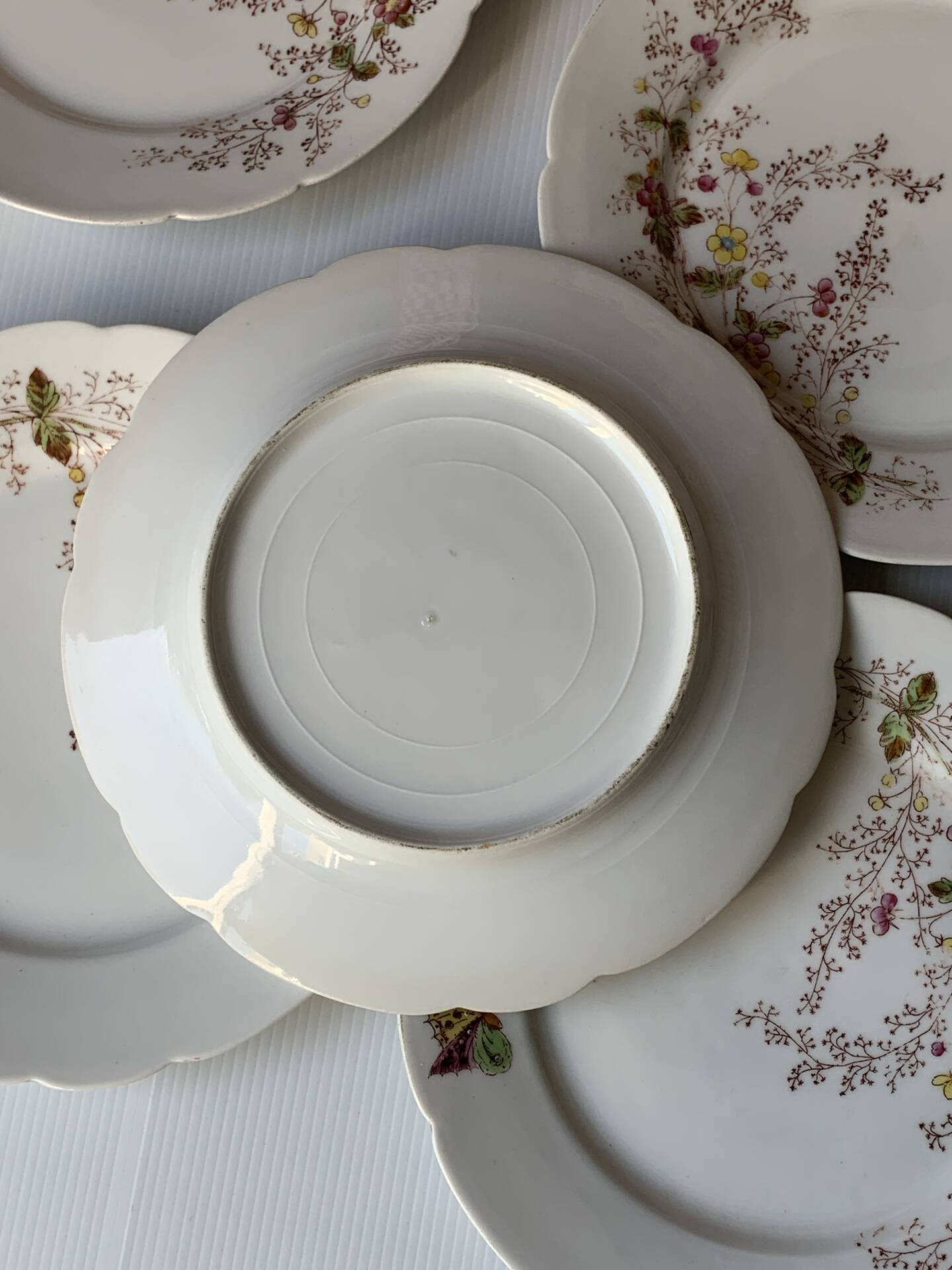 Six assiettes à entrée 1900s fleurs et papillons