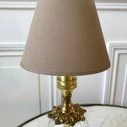 Pair of table lamps in bronze and glass early twentieth century