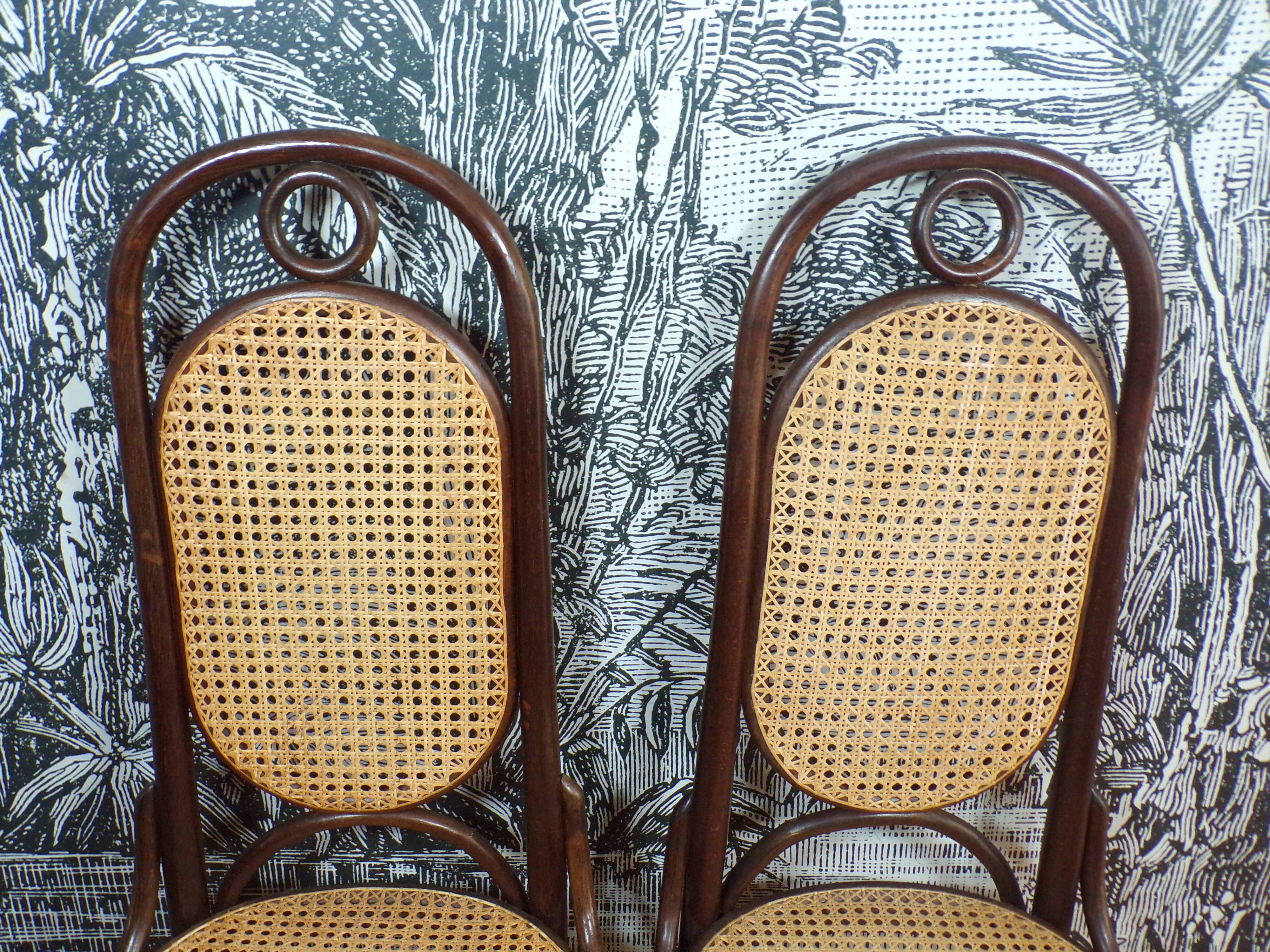 Pair of Thonet 207R chairs in bentwood