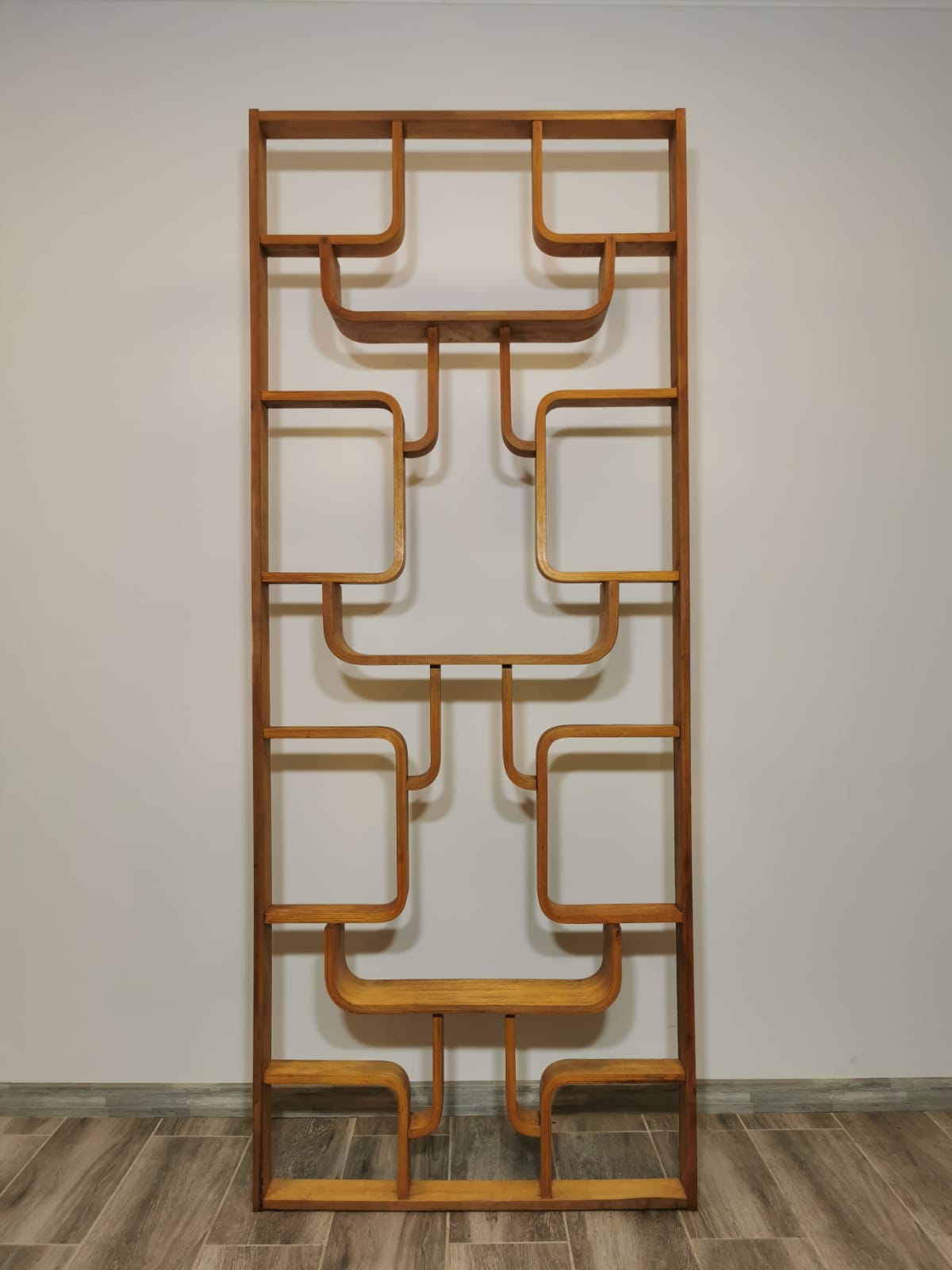 Room Divider by Ludvik Volak for Drevopodnik Holesov