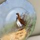 Antique decorative plate