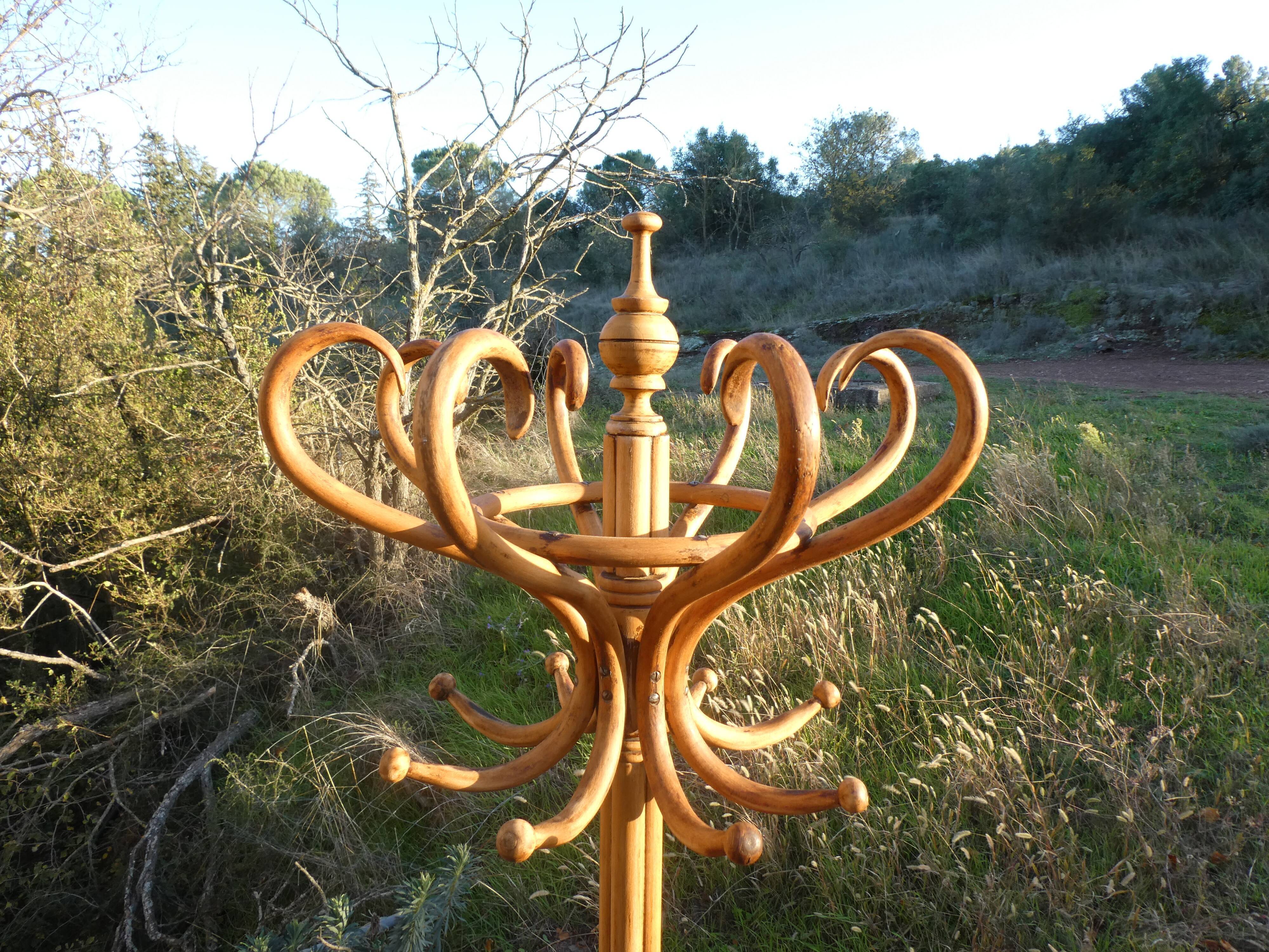 Parrot coat rack in curved wood - Art Nouveau