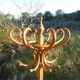 Parrot coat rack in curved wood - Art Nouveau