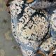 Pair of Louis XV style shepherdesses