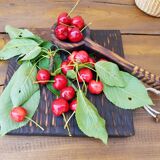 Burnt wood trivet