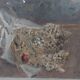 Giuseppe manfredi (1934 - 1987) oil painting still life flowers 70 x