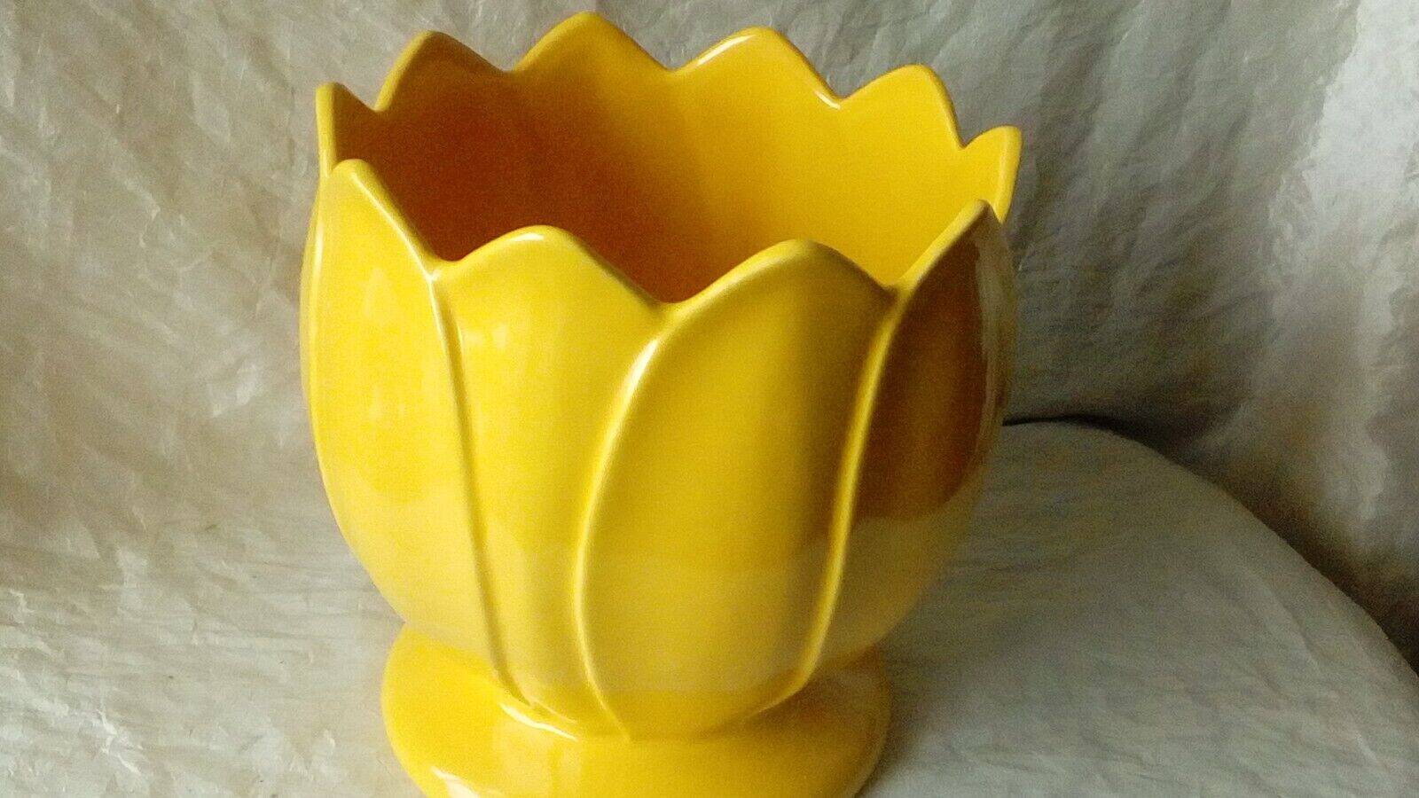 Water lily shaped earthenware pot