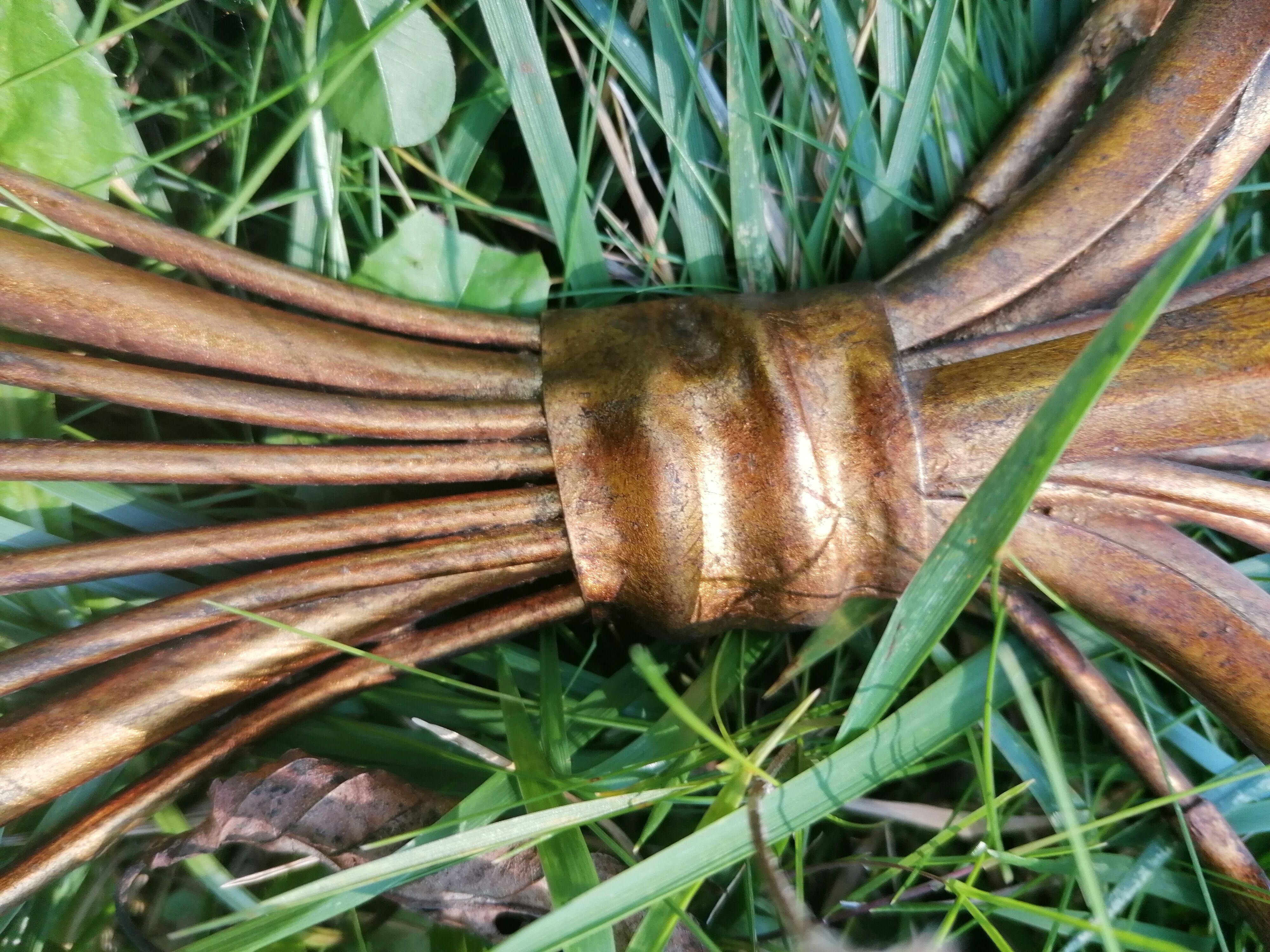 Applies in ears of ble