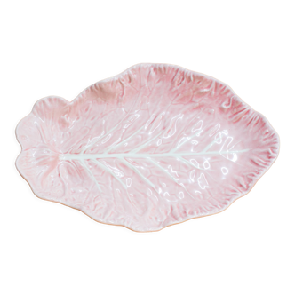 Pink cabbage slurry dish