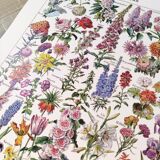 Affiche sur les fleurs, d'après une lithographie de 1922